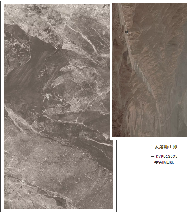 20181115141029404 今年会·jnh(中国区)官方网站入口